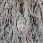 Buddha enredado en Wat Phra Si Sanphet