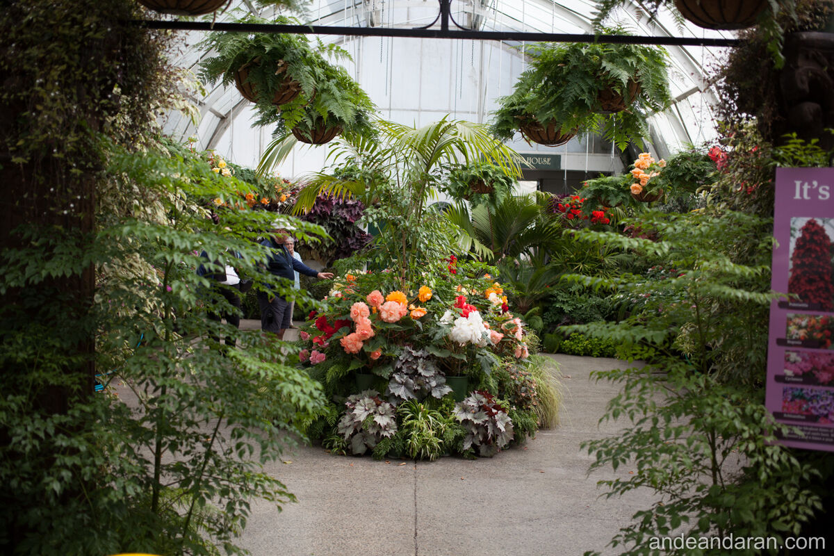 Una de las salas del jardín botánico